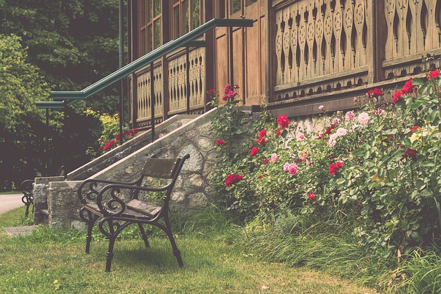 这不仅展示 这不仅展示