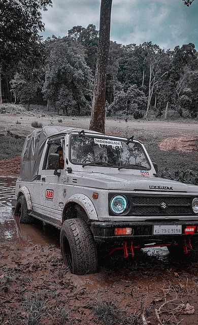 疑是一個長 疑是一個長