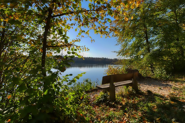 张镇麟个人 张镇麟个人