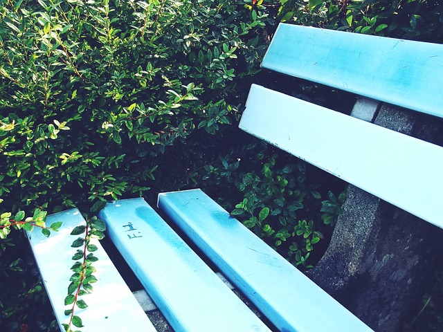 C罗则在葡 C罗则在葡