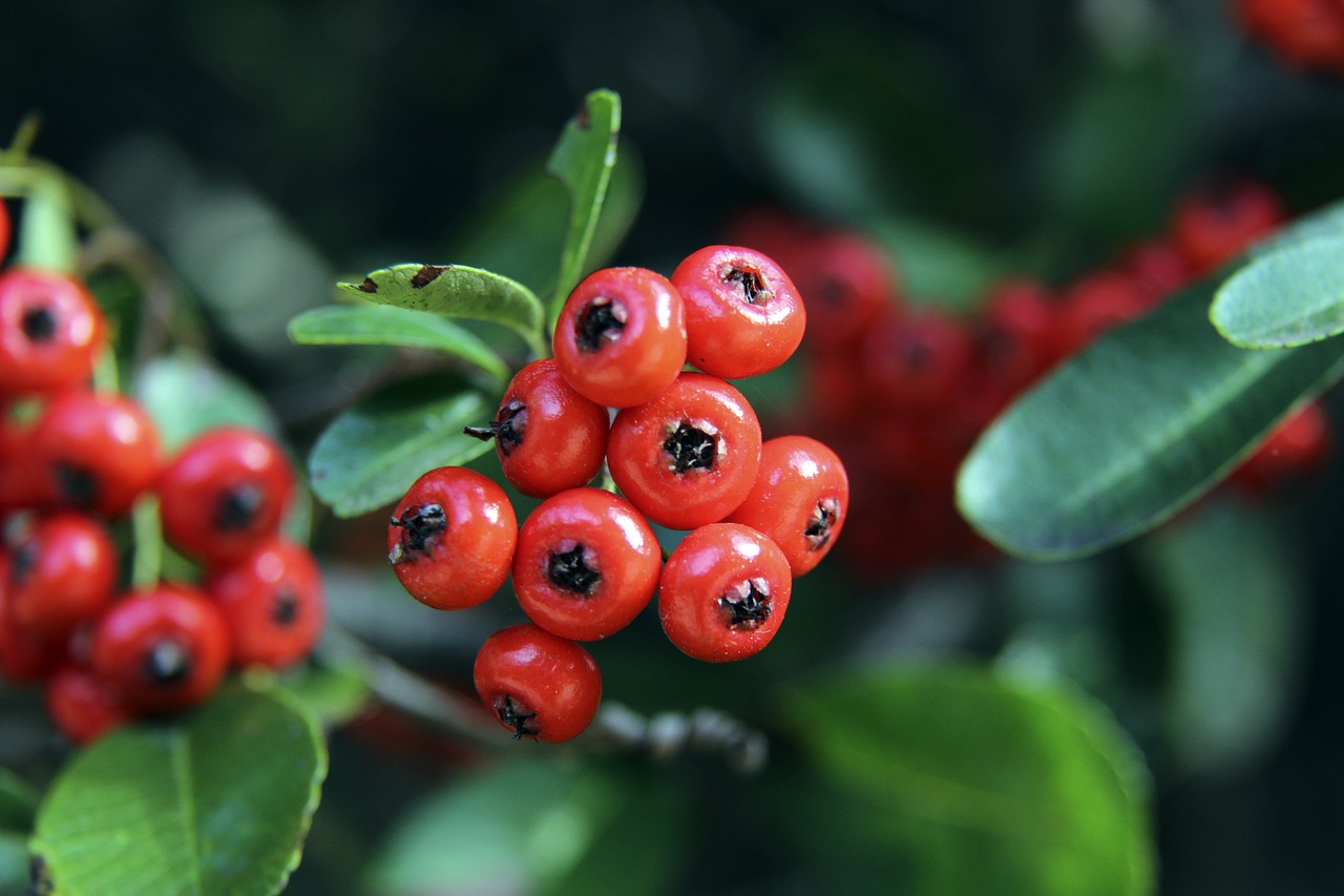 占据一席之 占据一席之